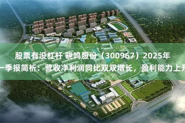 股票有没杠杆 晓鸣股份（300967）2025年一季报简析：营收净利润同比双双增长，盈利能力上升