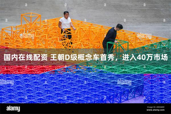 国内在线配资 王朝D级概念车首秀，进入40万市场