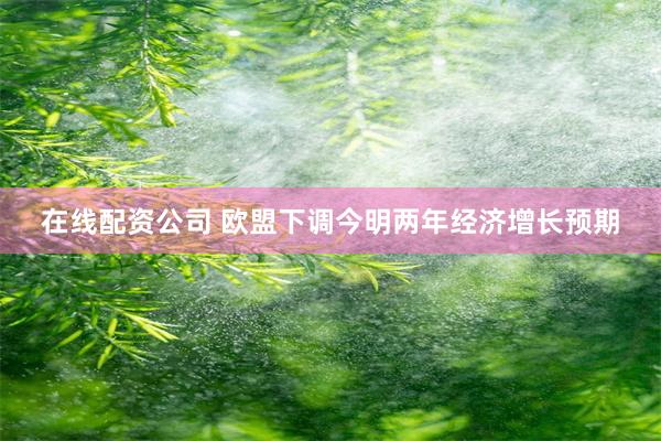 在线配资公司 欧盟下调今明两年经济增长预期
