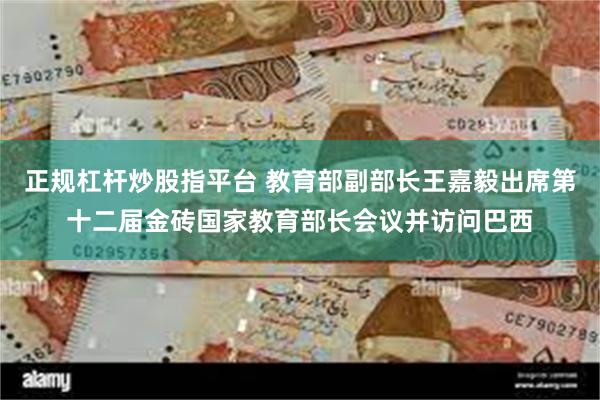 正规杠杆炒股指平台 教育部副部长王嘉毅出席第十二届金砖国家教育部长会议并访问巴西