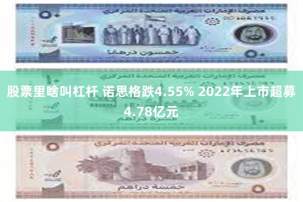股票里啥叫杠杆 诺思格跌4.55% 2022年上市超募4.78亿元