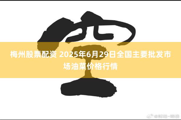 梅州股票配资 2025年6月29日全国主要批发市场油菜价格行情
