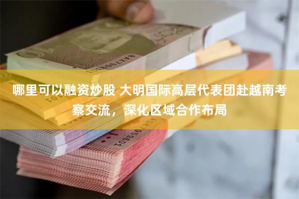 哪里可以融资炒股 大明国际高层代表团赴越南考察交流，深化区域合作布局