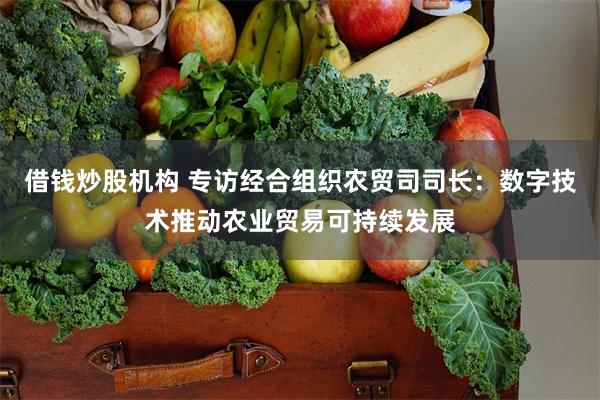 借钱炒股机构 专访经合组织农贸司司长：数字技术推动农业贸易可持续发展